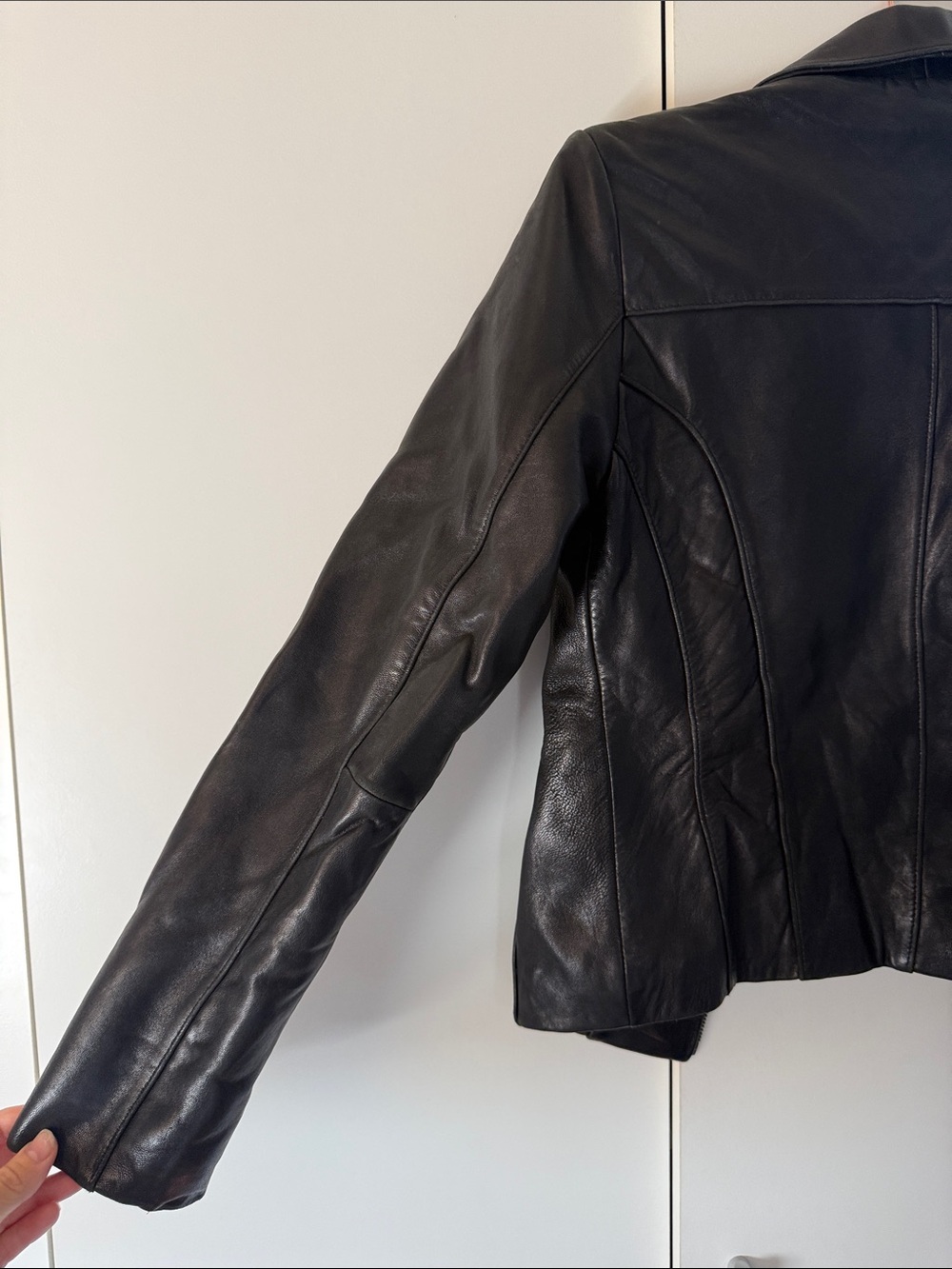 Leather collared jacket - Picture 4 of 5